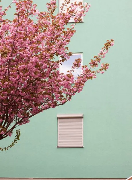 BURÇLARA ŞANS GETİREN RENKLER boğa