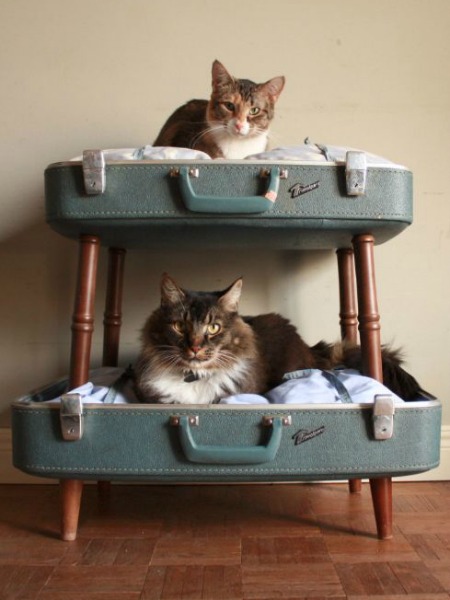 KEDİNİZİN BAYILACAĞI 12 MOBİLYA