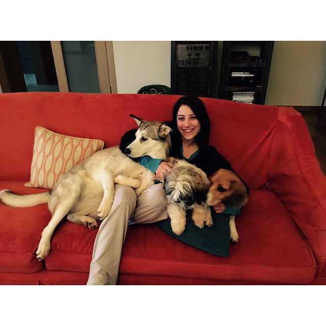 11111338_413876225440740_1171921768_n