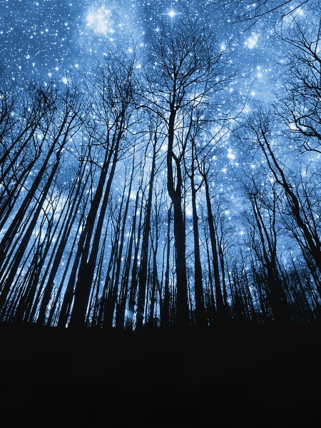 MAYIS AYI ASTROLOJİ YORUMUNUZ