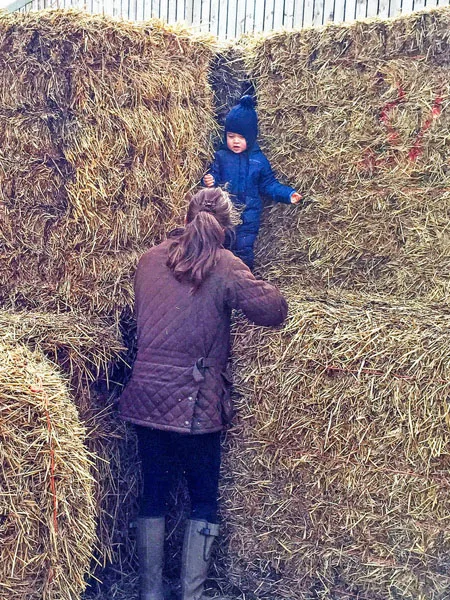 Kate-Middleton-Prince-George-Petting-Zoo-Pictures (19)