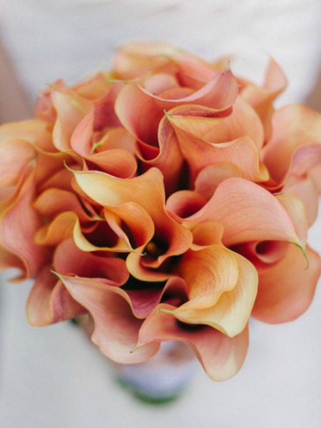 hbz-single-blooms-18