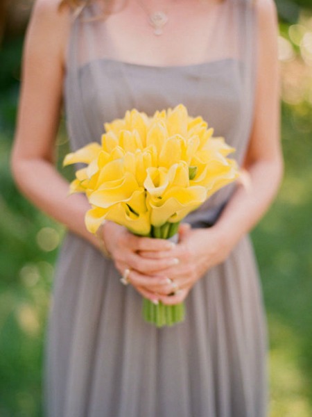hbz-single-blooms-20