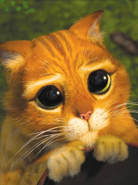 HANGİ BURÇ NASIL ÖZÜR DİLER?