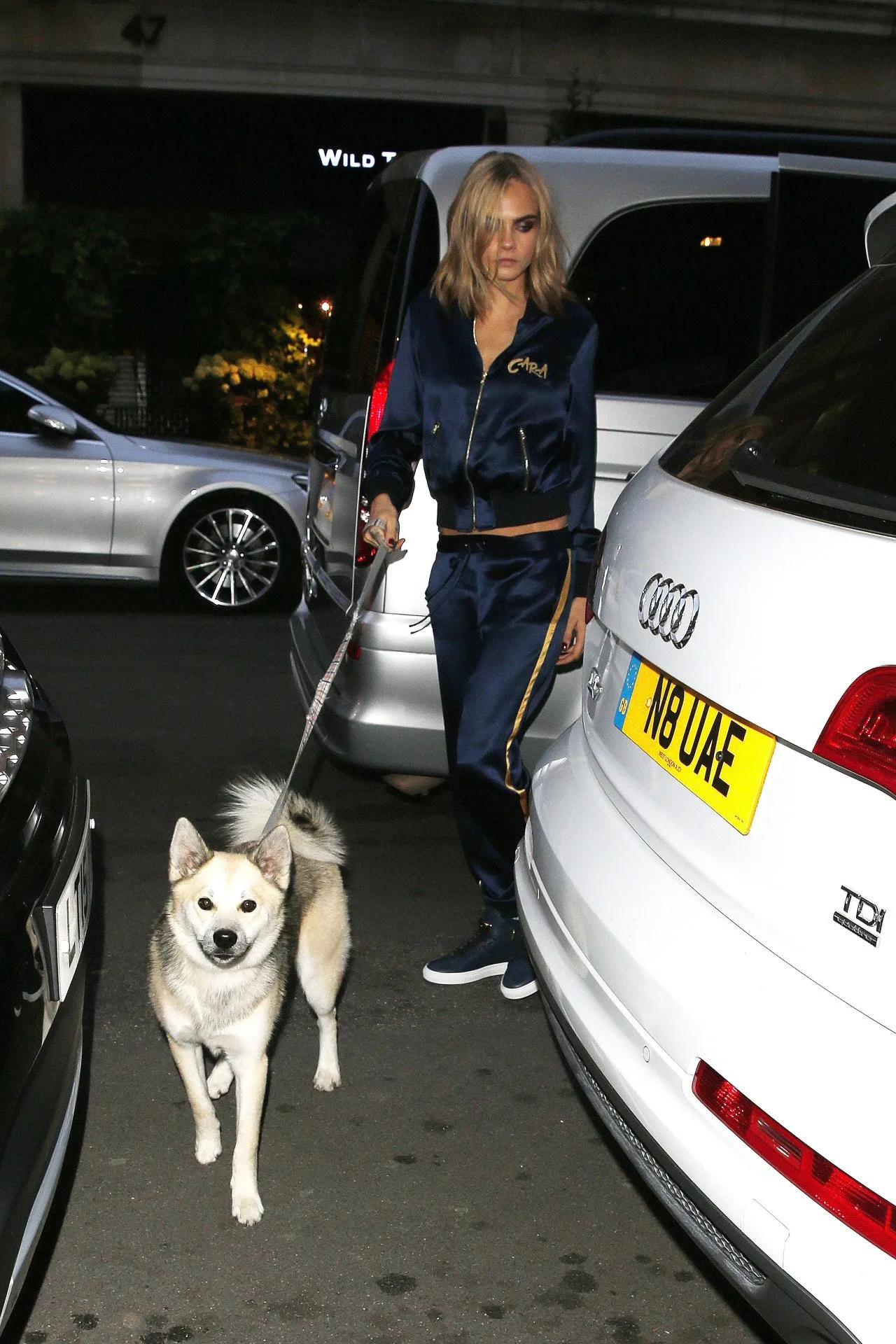 İYİ Kİ DOĞDUN CARA DELEVINGNE! (9)