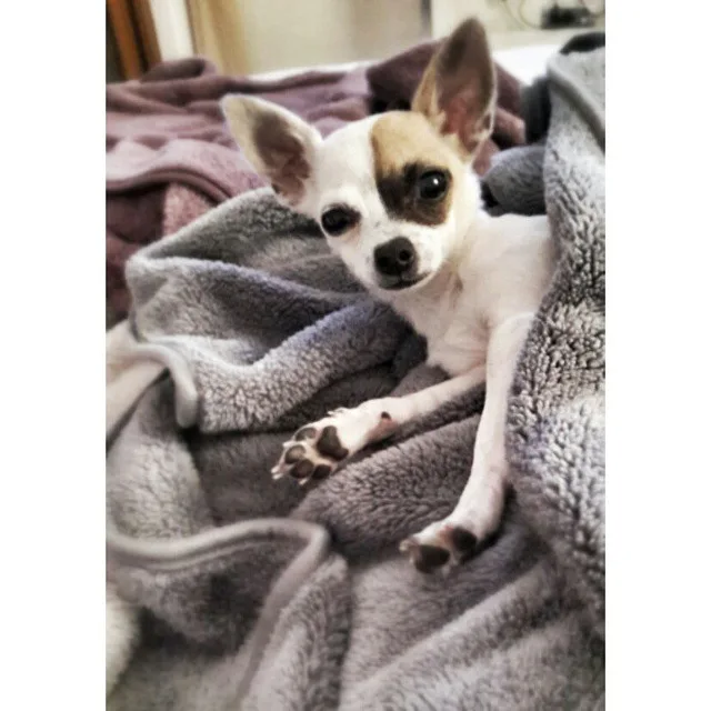 11008215_1587702414781230_1120904128_n