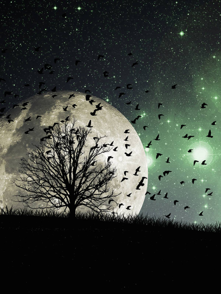 10 – 16 AĞUSTOS HAFTALIK BURÇ YORUMU