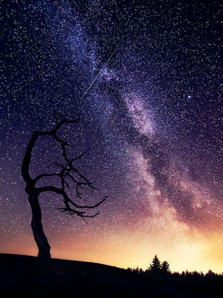 3 – 9 AĞUSTOS HAFTALIK BURÇ YORUMU