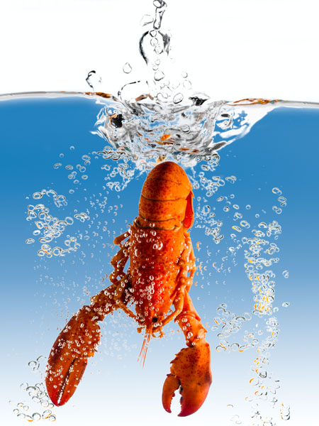 EXECUTIVE ŞEF OLIVIER PISTRE’DEN  SONBAHARA ÖZEL YENİ MENÜ