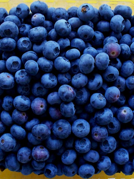 SAÇLARINIZIN UZAMASINA YARDIMCI 10 YİYECEK