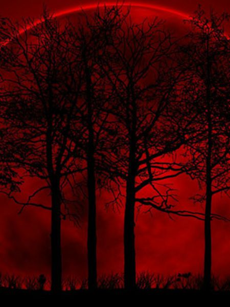 KANLI AY TUTULMASI GERÇEKLEŞTİ