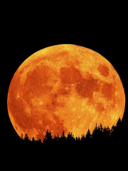 9 MART’TAKİ GÜNEŞ TUTULMASININ ETKİLERİ