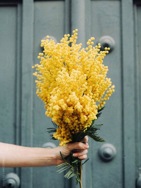 STRESTEN KURTULMANIN 4 YOLU