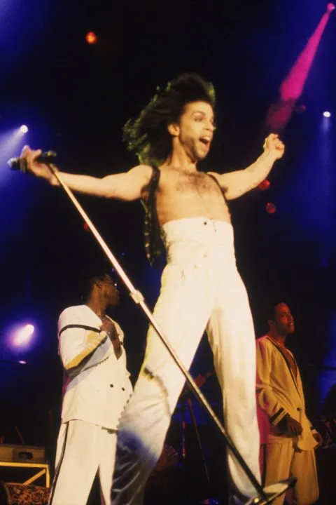 PRINCE'İ EN İYİ 31 GÖRÜNÜMÜYLE ANIYORUZ (29)