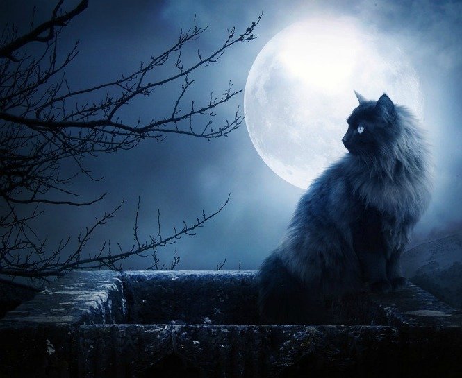 BAŞAK BURCUNDA OLUŞAN YENİ AY ENERJİSİNİN ÖNEMLİ ETKİLERİ