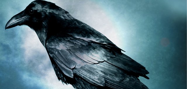 ÖLÜ KUŞLARIN SESSİZLİĞİ