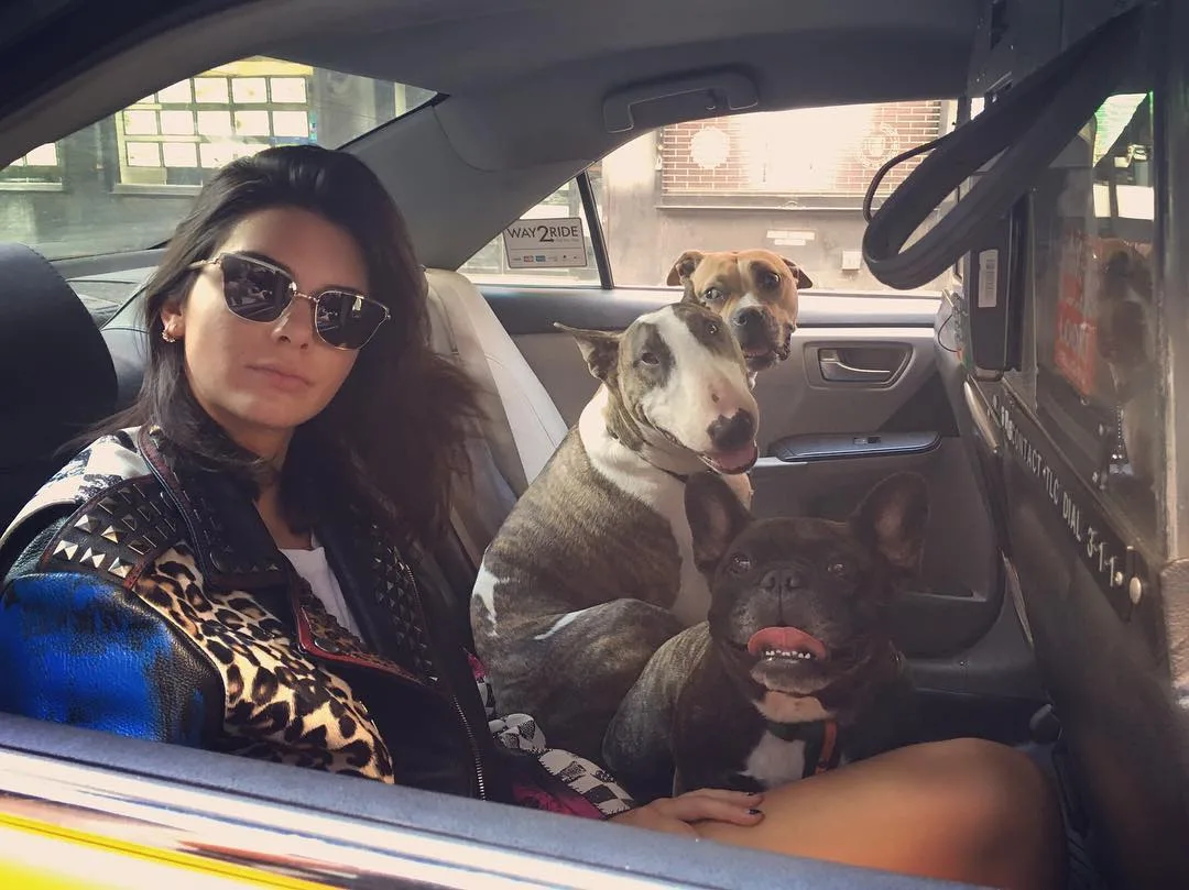 İYİ Kİ DOĞDUN KENDALL JENNER! (7)