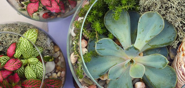 GRAD HYATT İSTANBUL’DAN TERRARIUM ATÖLYESİ