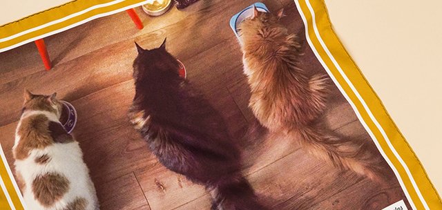 VAKKO İLE KENDİ EŞARBINI KENDİN TASARLA