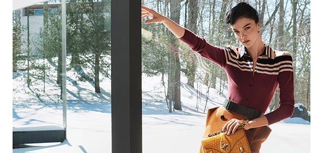 BOTTEGA VENETA  SONBAHAR KIŞ 2017 REKLAM KAMPANYASI