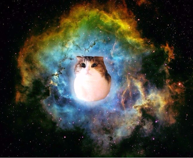 EKİM AYI ASTROLOJİ YORUMUNUZ