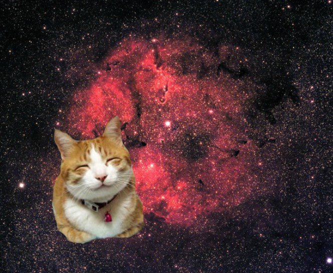 KASIM AYI ASTROLOJİ YORUMUNUZ