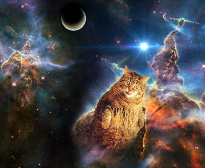 ARALIK AYI ASTROLOJİ YORUMUNUZ