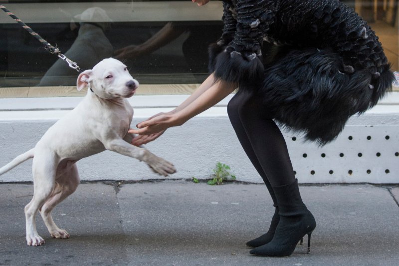 Sezon Alışverişi: En Cool Bot ve Çizme Modelleri