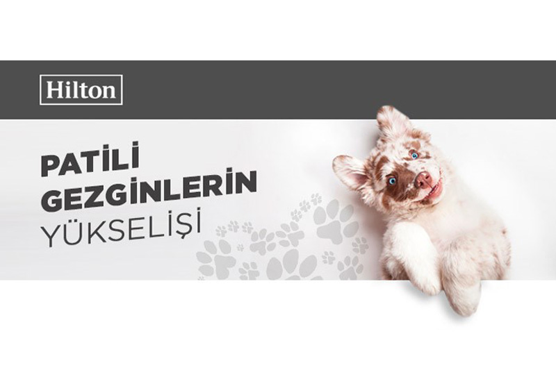 Hilton’dan, Türkiye’de Köpeğinizle Konaklayabileceğiniz Beş Otel
