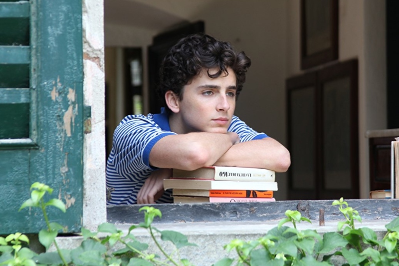 Call Me by Your Name’den Devam Filmi