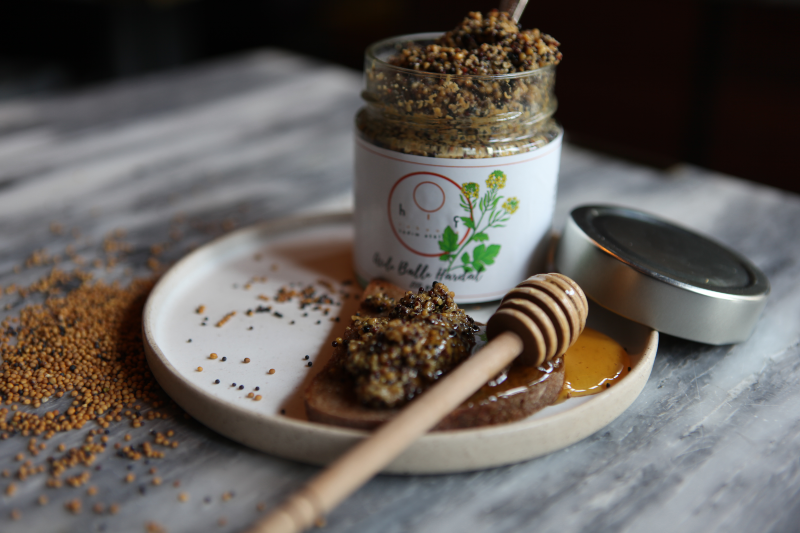 Urla’da Zeytin Ormanından Çıkan bir “Gelecek”: Hiç