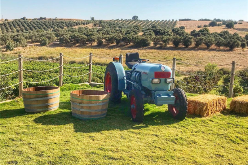 Tadım Turları’nın Katılımcılara Keyifli Deneyimler Yaşatan Takvimi!