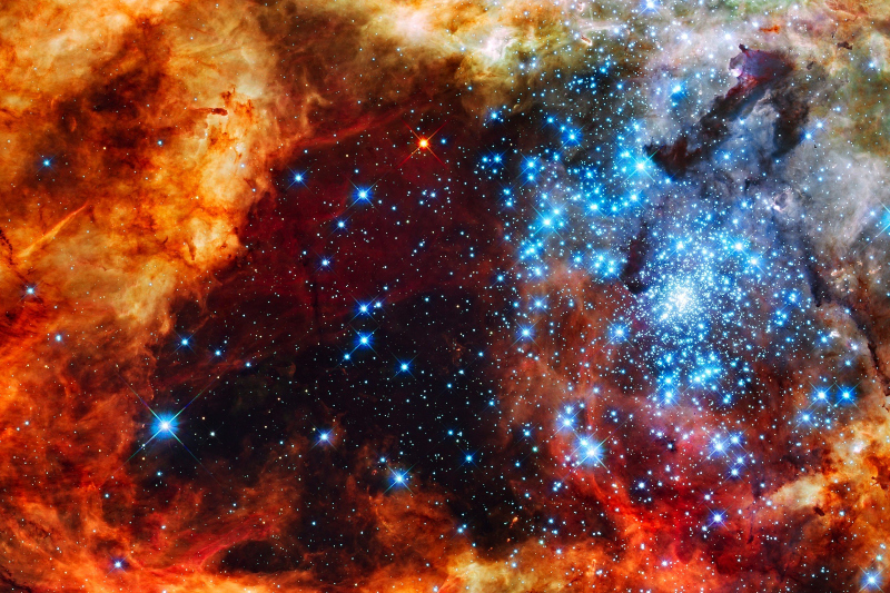 2021 Burç Yorumları