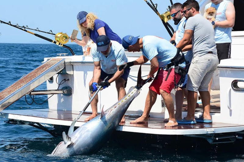 MOST Bodrum Sportif Balık Avı Turnuvası İçin Geri Sayım Başladı