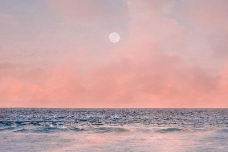 Kasım 2021’in Önemli Gökyüzü Hareketleri