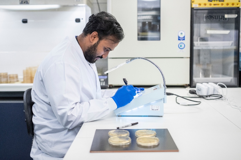 Evinizdeki bilinmeyen tehlike: Ev tozu