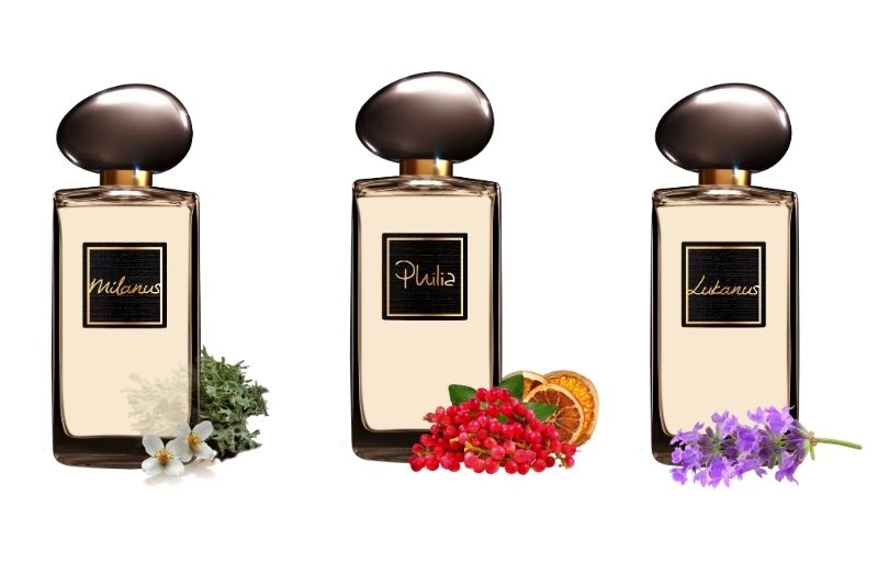 Sevil, İlk Mağazasını Yeniden Hizmete Açtı