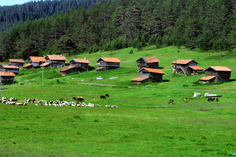 Karadeniz Yaylaları ve Kanyonlarını JOLLY ile Keşfedin