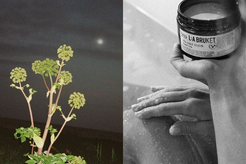 L:a Bruket 15. yılını Angelica koleksiyonu ile kutluyor