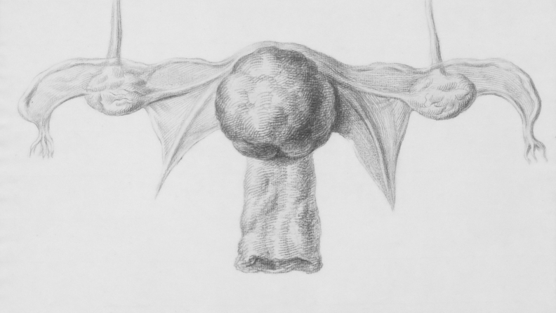 Prof. Dr. Murat Naki, yumurtalık kisti hakkında merak edilenleri  anlattı