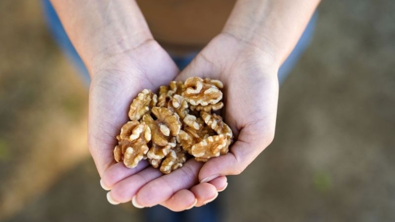Yeni araştırma, et tüketiminin bir kısmını cevizle değiştirmenin potansiyel faydalarını gösteriyor