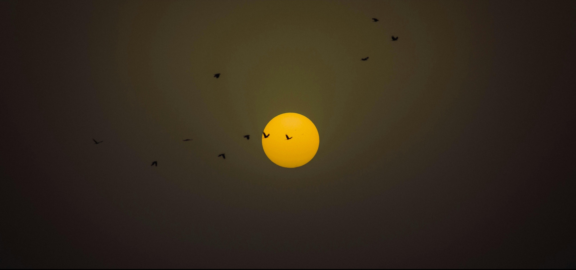 Güneş ile Plüto kavuşumu