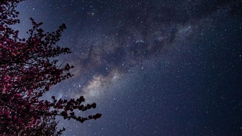 17-23 Mart: Haftalık burç yorumu