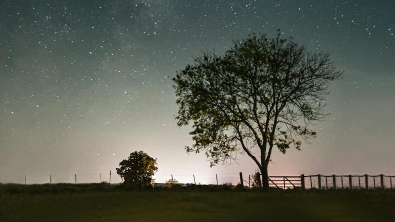 24-30 Mart: Haftalık burç yorumu