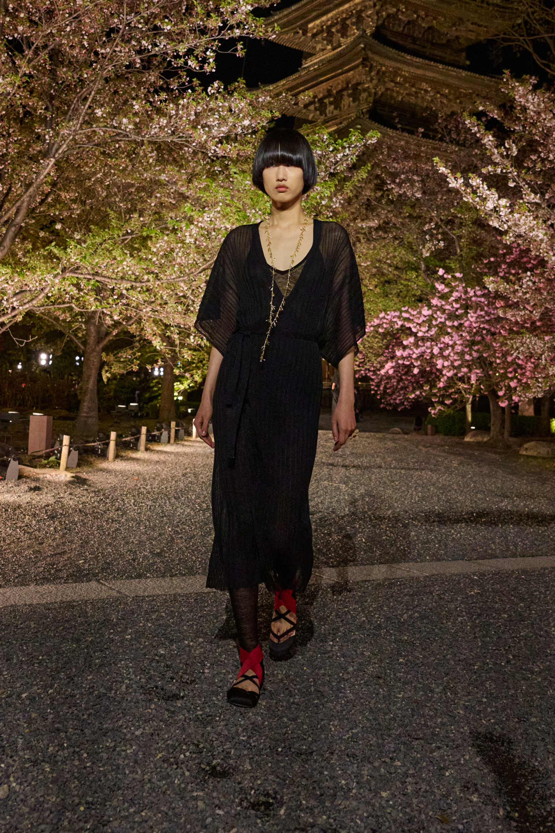 Dior Pre-Fall 2025 defilesi