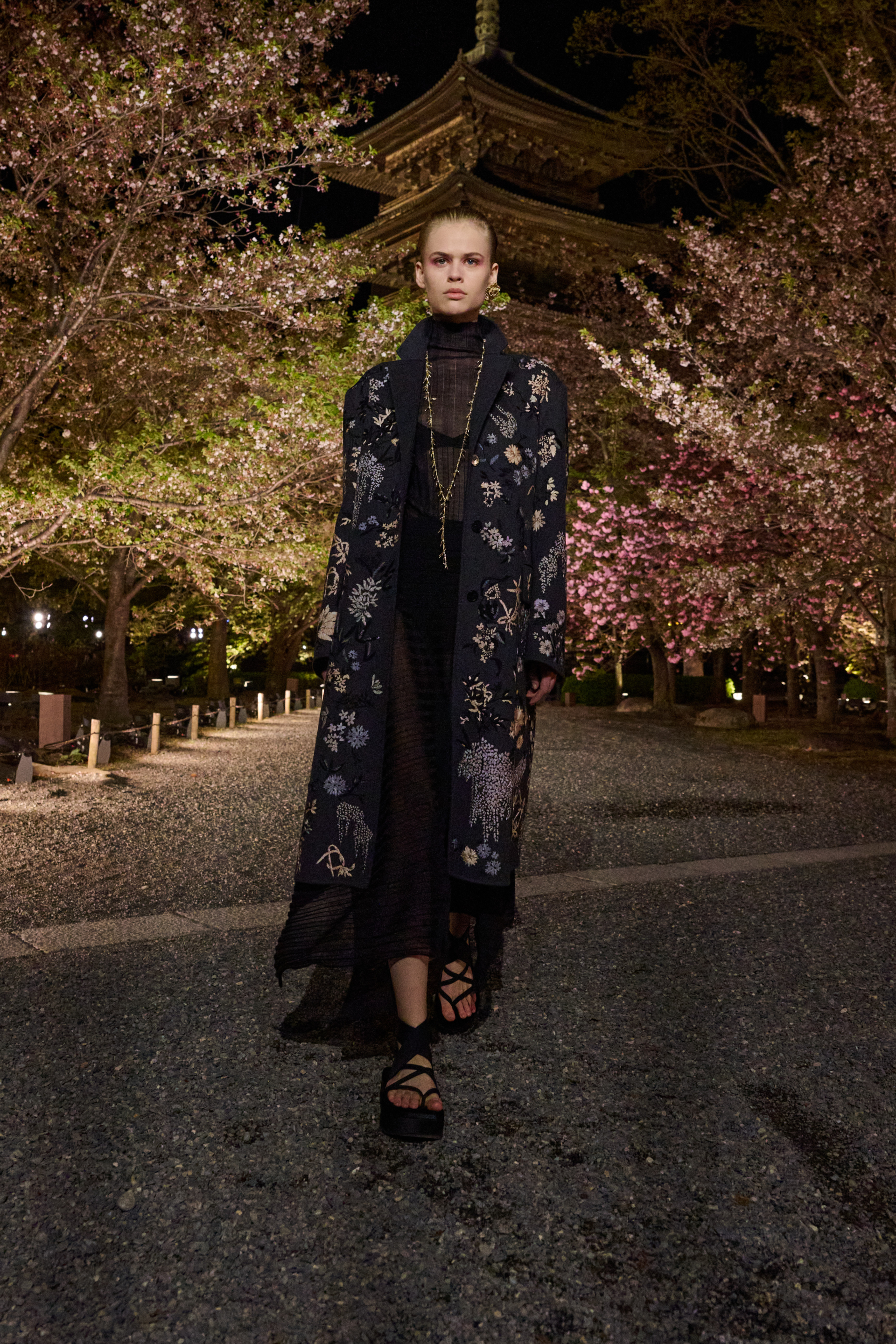 Dior Pre-Fall 2025 defilesi