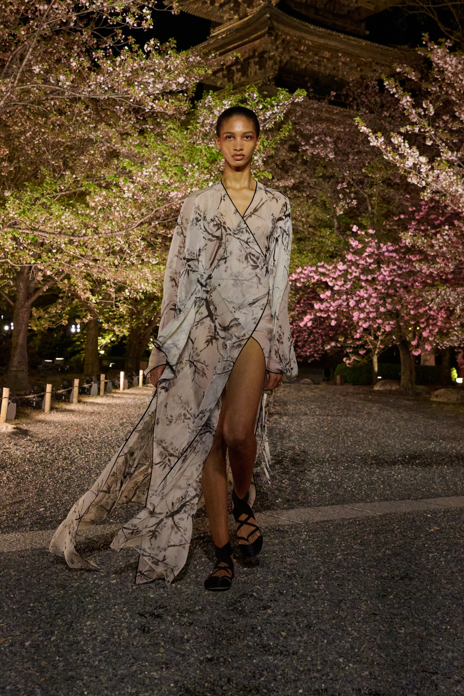 Dior Pre-Fall 2025 defilesi