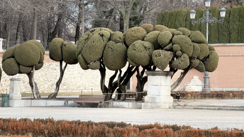 Madrid’de İyi Yaşam Durakları