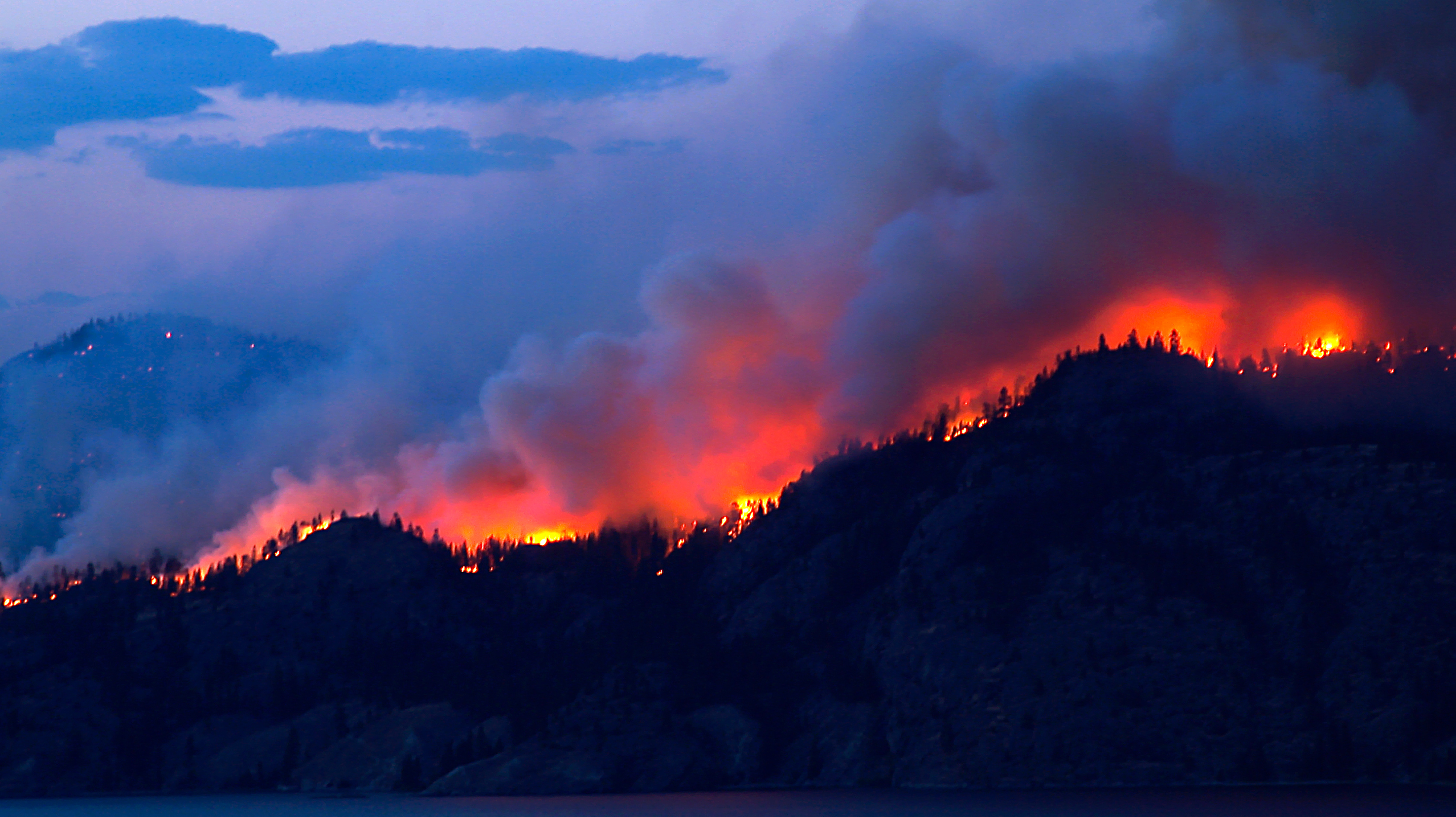 Aynı Acı, Yine Yeniden: İstatistiklerle Orman Yangınları
