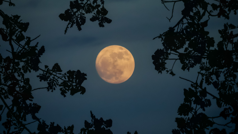 4 – 10 Ağustos: Haftalık burç yorumu